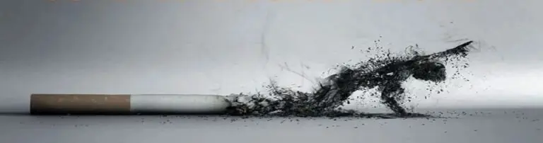 CIGAREČIŲ KVAPO NAIKINIMAS